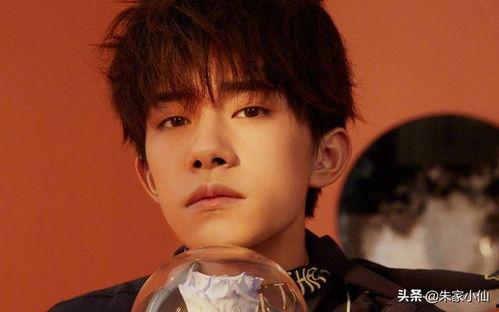 娱乐吃瓜杨洋视频,娱乐圈幕后趣事大揭秘